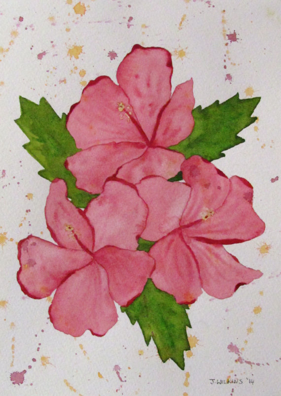 Hibiscus Study