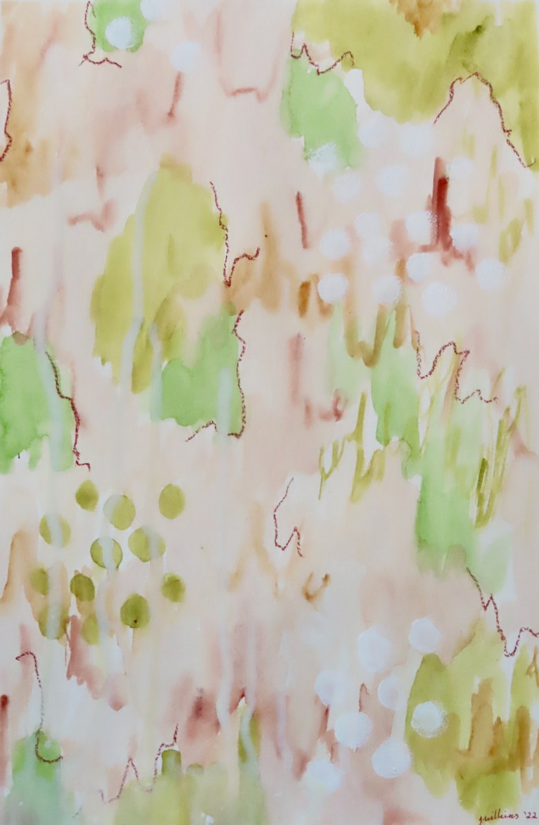 Scribbly Gum Impressions