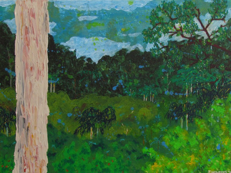 Wild (Tamborine Mountain)