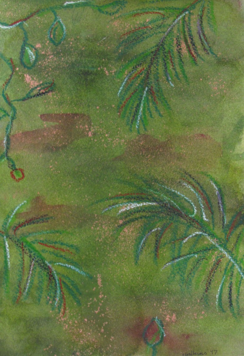 Rainforest Magic series